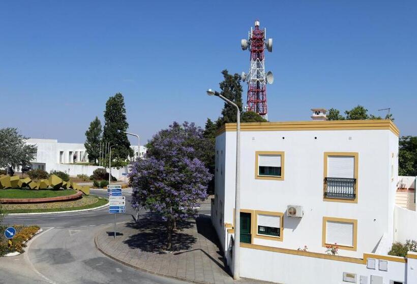 هاستل In My House