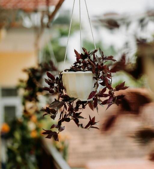 تختخواب و صبحانه Tùng Homestay