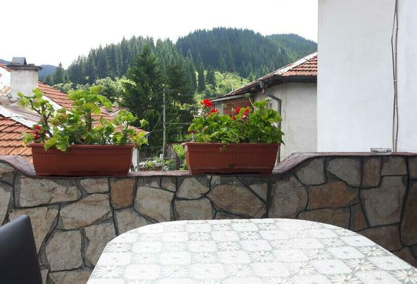 بنسيون Guest House Denitsa