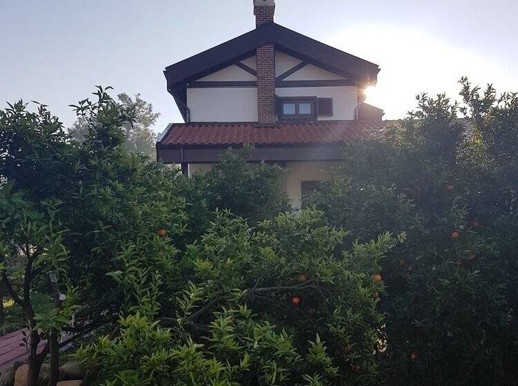 پانسیون Mandarin Guesthouse   Adult Only