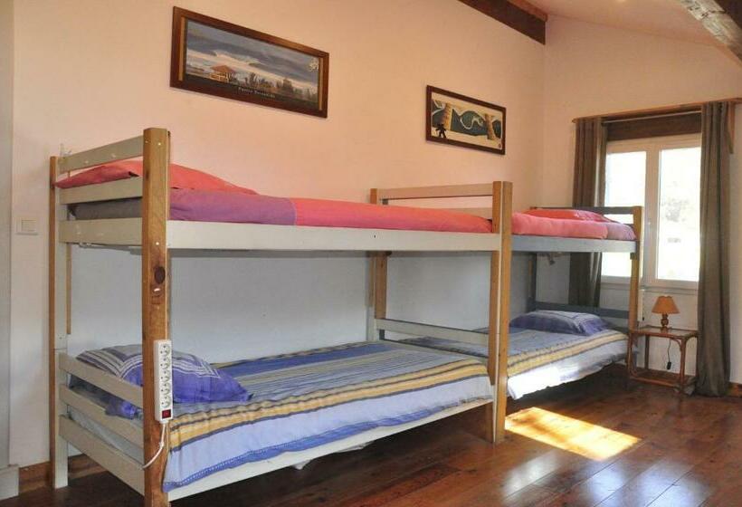 הוסטל Shifting Sands Surf Camp