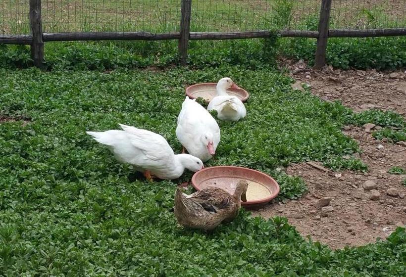 هتل Agriturismo Agri Armonia
