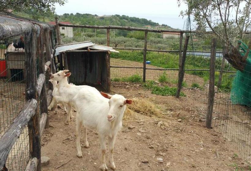 هتل Agriturismo Agri Armonia