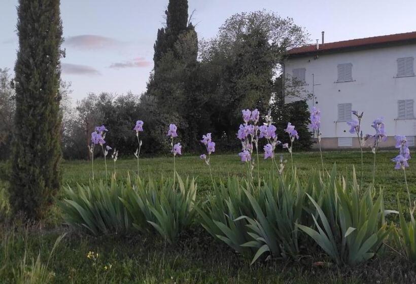 فندق Borgo Iris