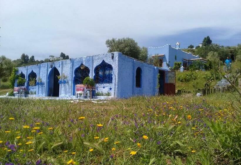 هتل Casa Cherif