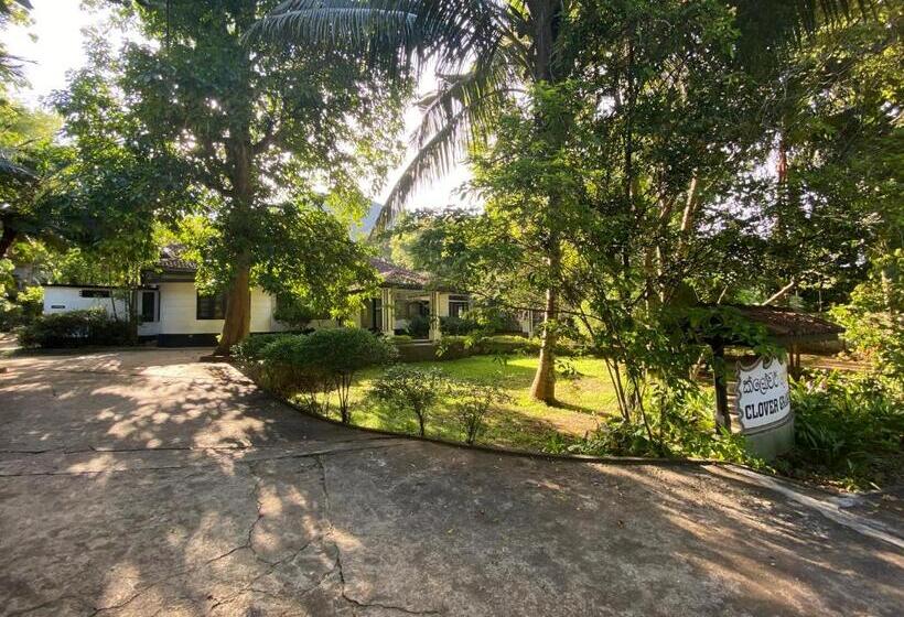 בית מלון כפרי Clover Grange Home Stay