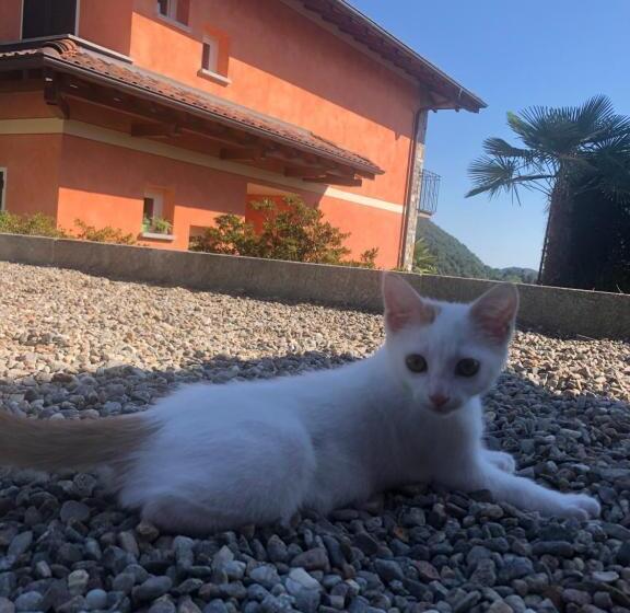 ペンション Casa Ilaria