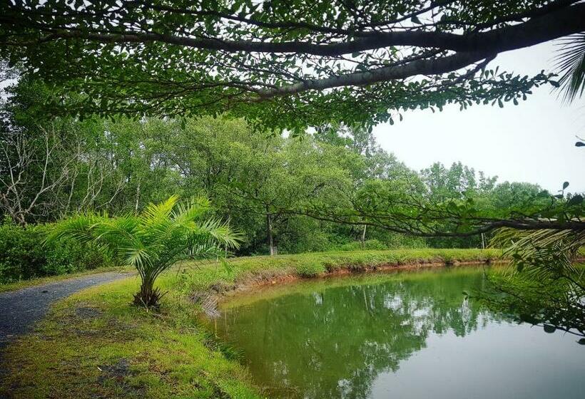 אתר נופש Calm At Bangphat