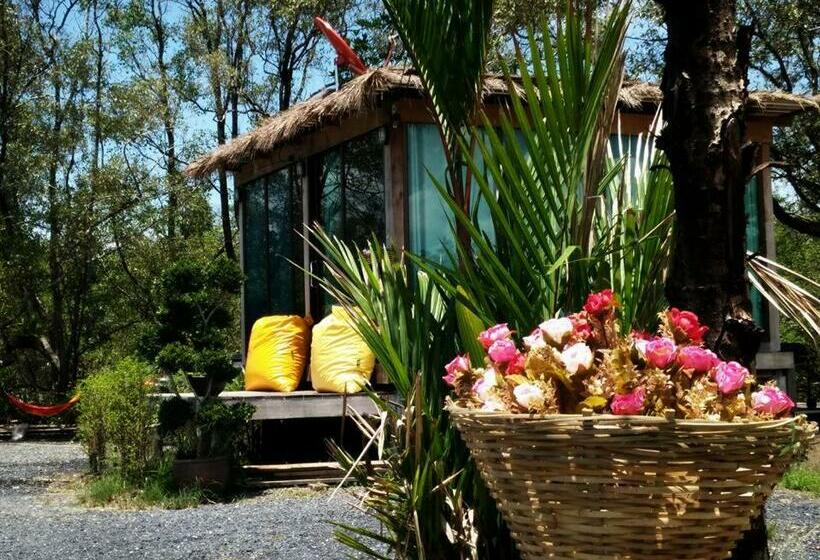 אתר נופש Calm At Bangphat