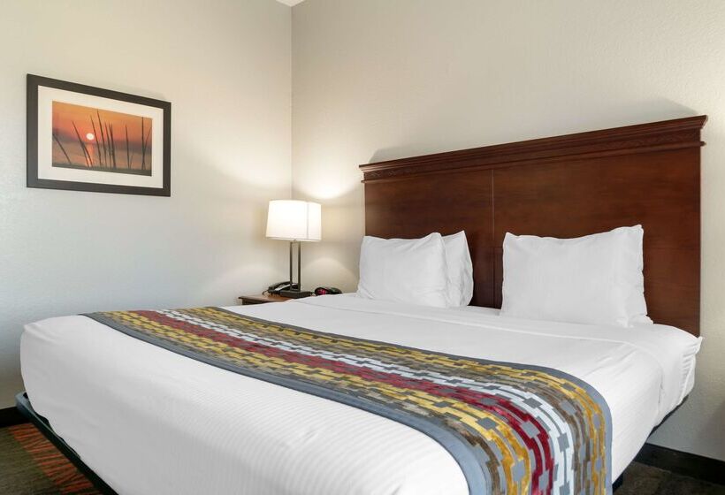 Hotel Best Western Executive Inn And Suites