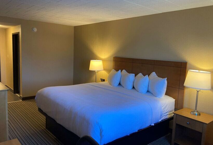 ホテル Best Western Plus Reading Inn & Suites