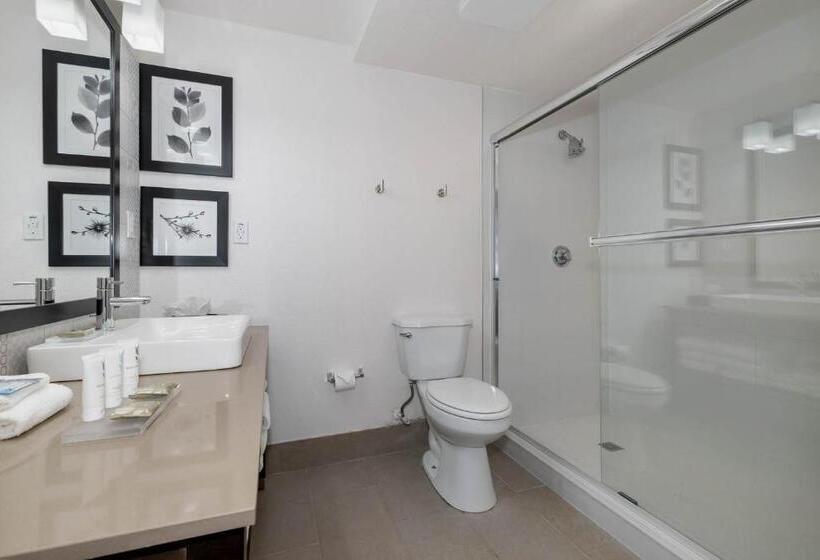 בית מלון כפרי Country Inn & Suites By Radisson, Port Canaveral, Fl