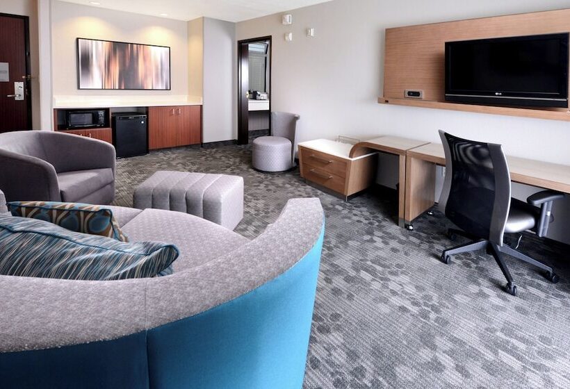 هتل Courtyard By Marriott Houston Northwest