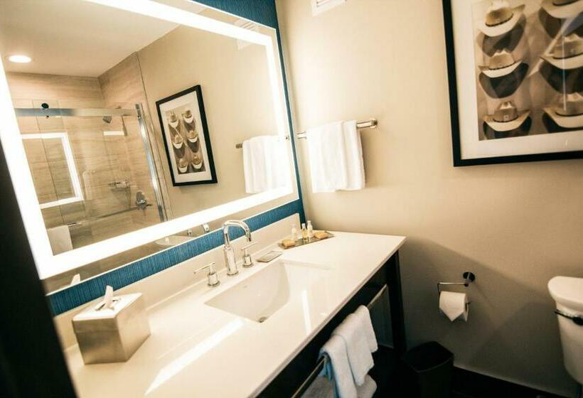 فندق Doubletree By Hilton Lubbock  University Area