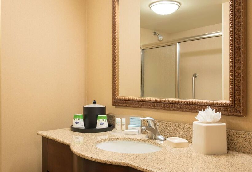 Hotel Hampton Inn & Suites Bloomingtonnormal