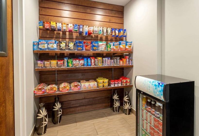 ホテル Hawthorn Suites By Wyndham Allentownfogelsville