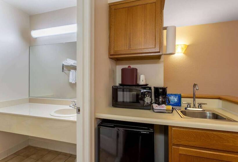 ホテル Hawthorn Suites By Wyndham Allentownfogelsville