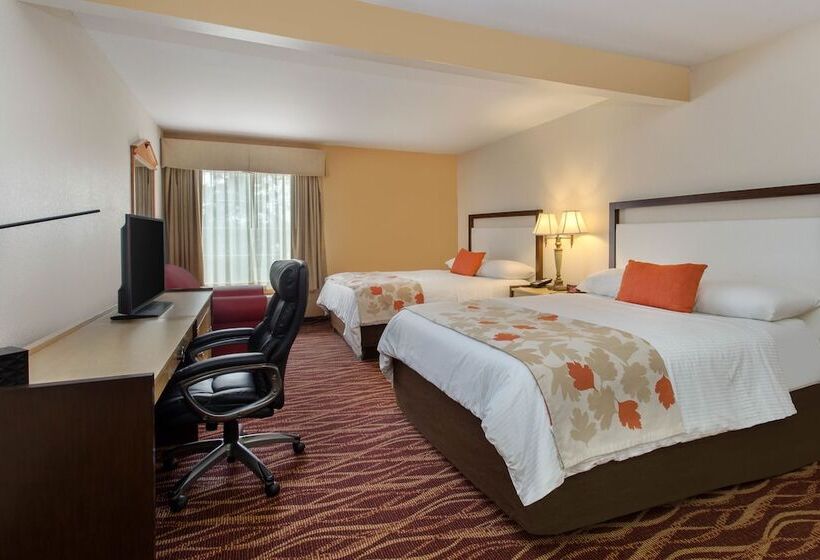 ホテル Hawthorn Suites By Wyndham Allentownfogelsville