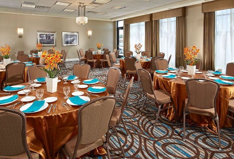 酒店 Hilton Garden Inn Los Angeles/redondo Beach