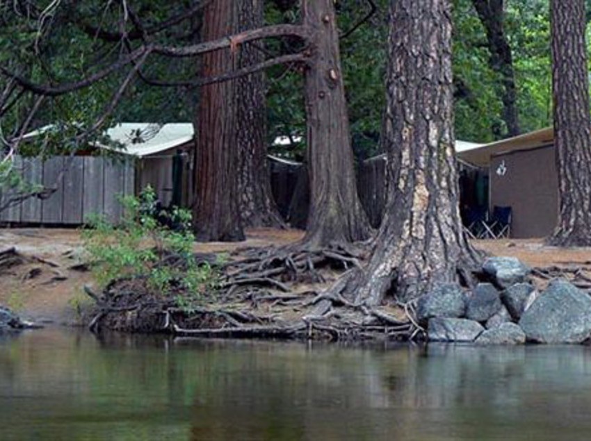 Hôtel Housekeeping Camp