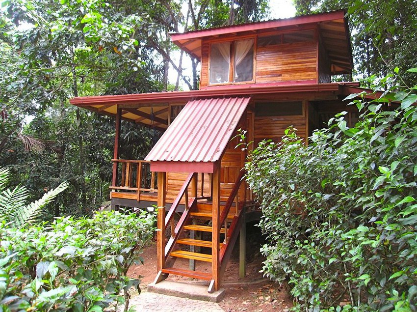 Hotel Samasati Nature Retreat