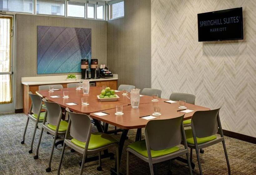 هتل Springhill Suites By Marriott Saginaw