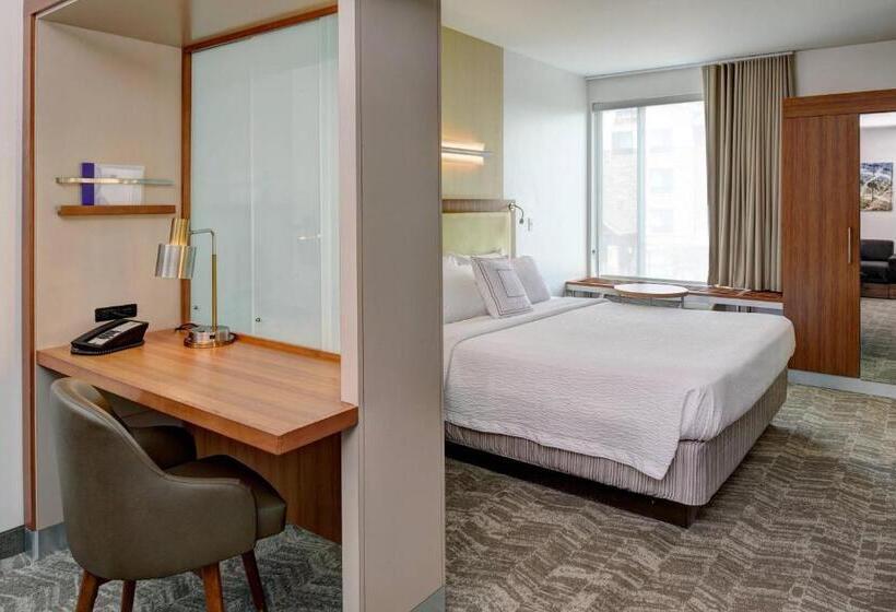 هتل Springhill Suites By Marriott Saginaw