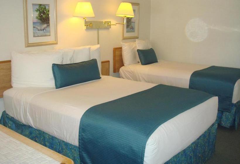 فندق على الطريق Beach Shell Inn