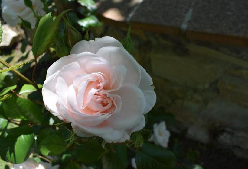 צימר Casale Asciolo