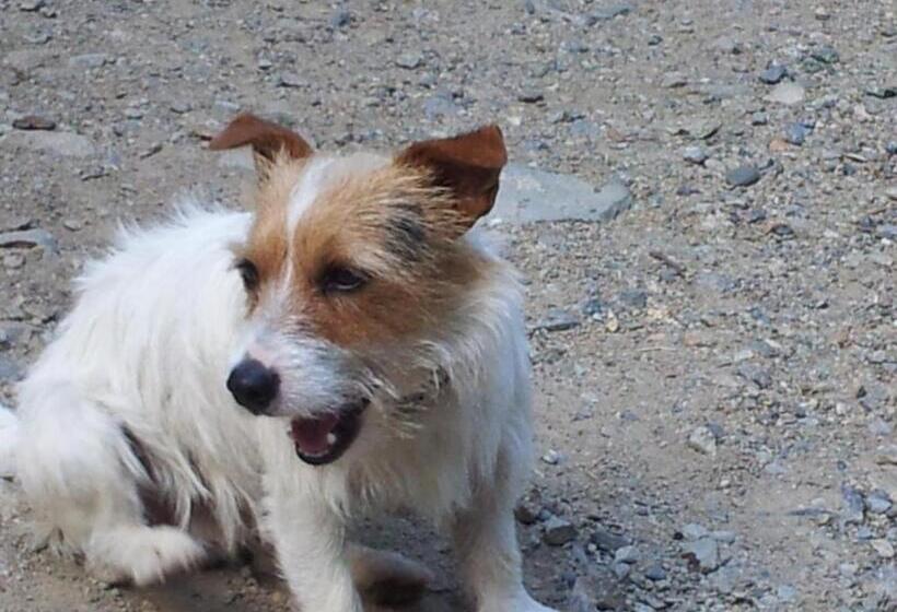 مبيت وإفطار Chambre D Hôte Chez Antoinette Et Charles
