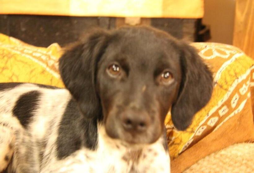 مبيت وإفطار Chambre D Hôte Chez Antoinette Et Charles