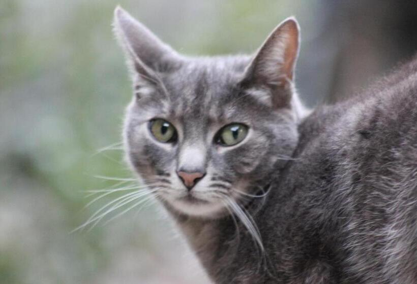 مبيت وإفطار Chambre D Hôte Chez Antoinette Et Charles