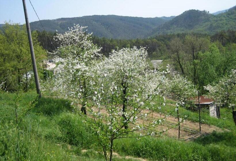 هتل Agriturismo Casalino