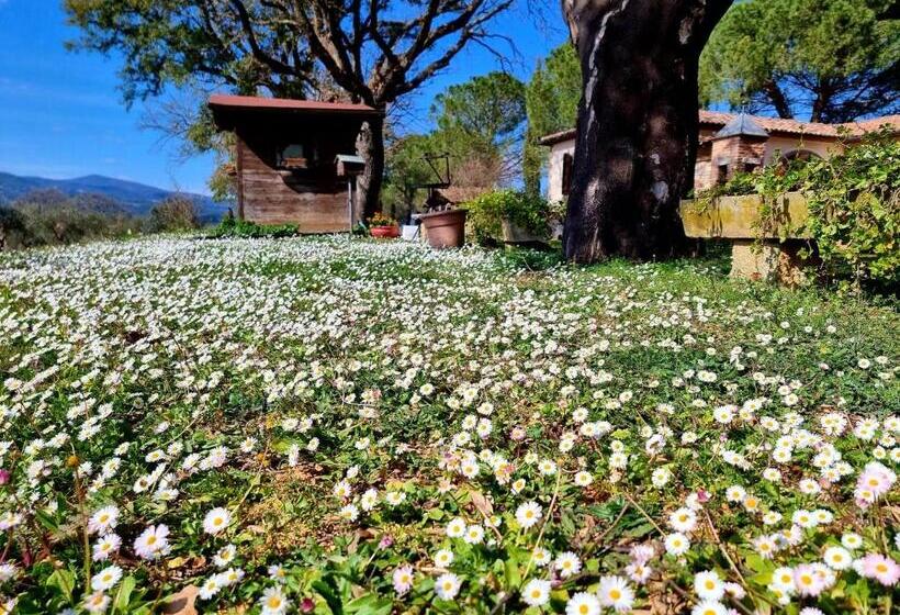 فندق Agriturismo Poggio La Buca