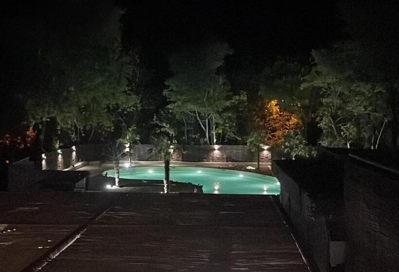 هتل Mojo Resort
