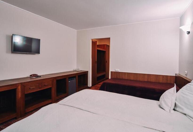 استراحتگاه Complex Turistic Bucovina