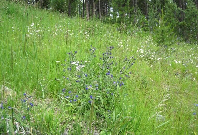 Wild Nature B&b