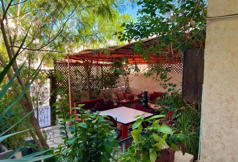 Al Amer Hostel 1