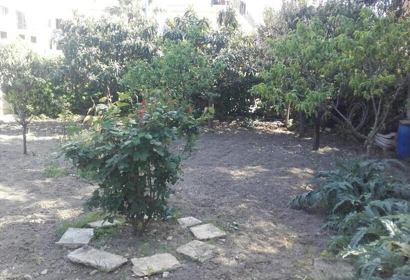 B&b La Palma