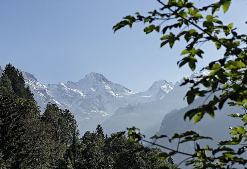 هتل Alpenrose Wengen