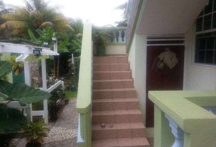 پانسیون The Nixon's Bay Side Mangrove Inn