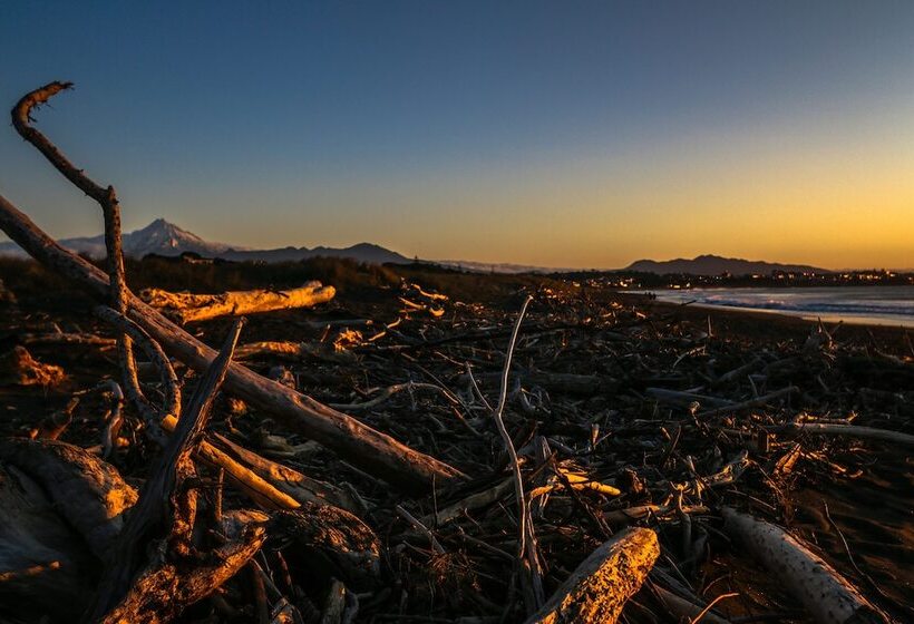 منتجع New Plymouth Top 10 Holiday Park