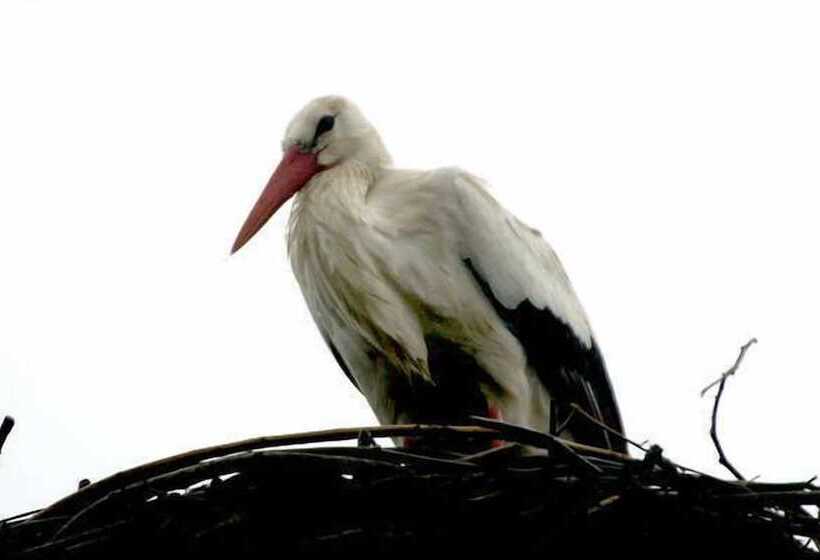 هتل Rudbøl Grænsekro