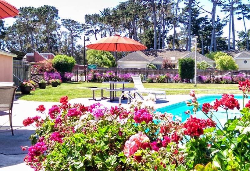 مُتل Butterfly Grove Inn