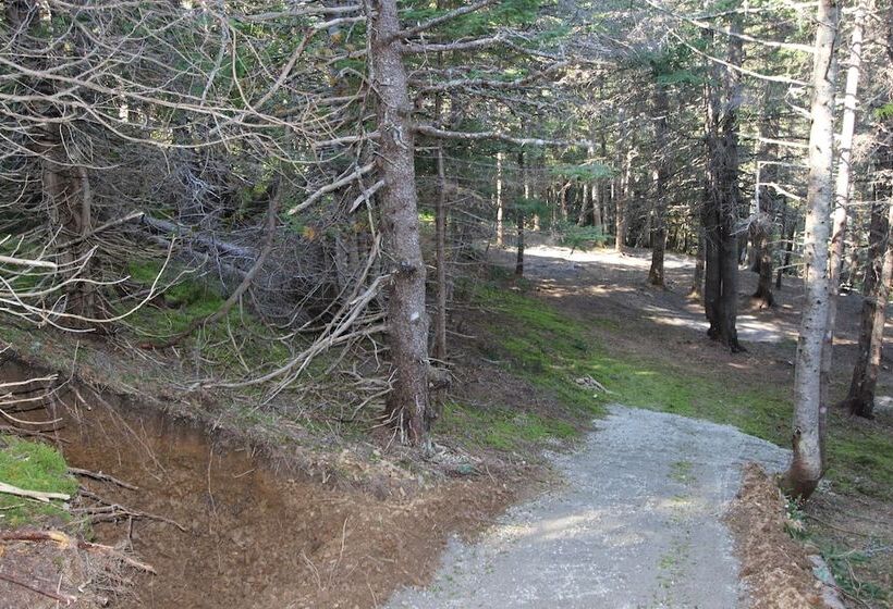 استراحتگاه Chalets Nature Océan