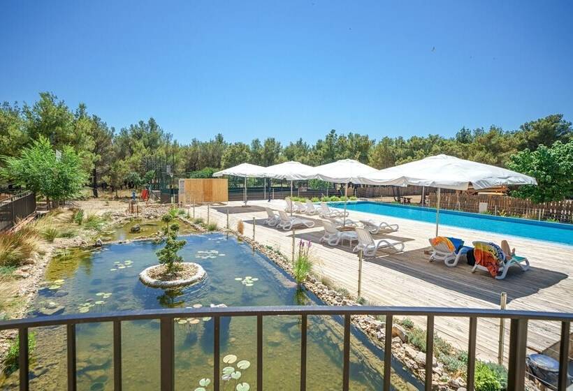 هتل Executive Park View Room With Breakfast Included