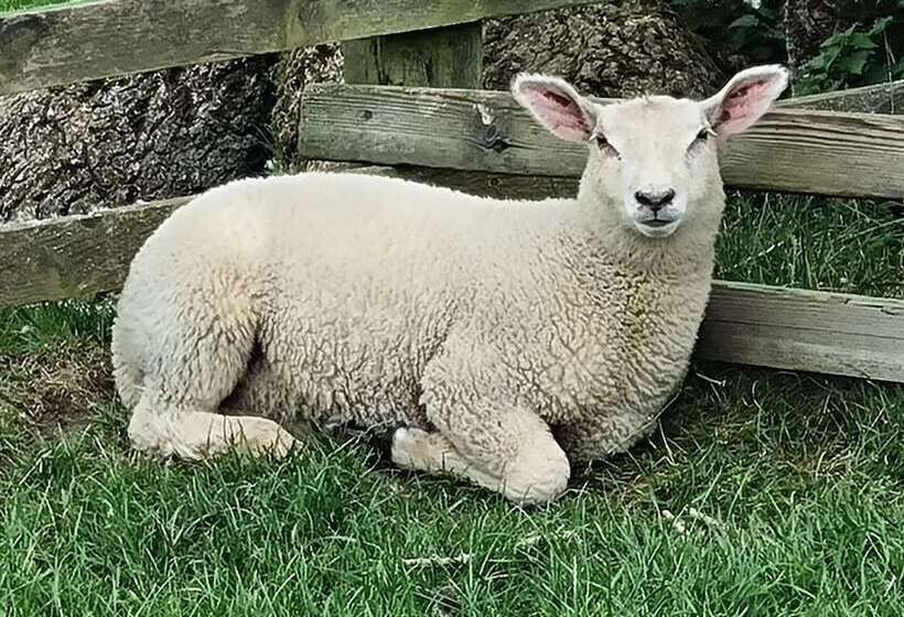 Paddock Cottage   Thorpe Arnold, Melton Mowbray