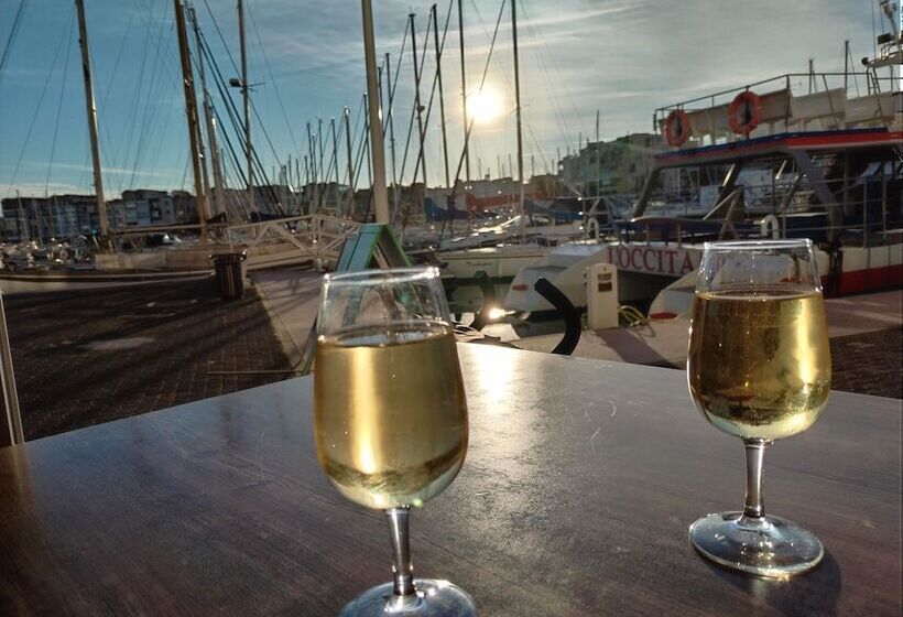 ペンション Gîte Et Chambres D Hôtes  Le Coq Du Nord   Mailhac