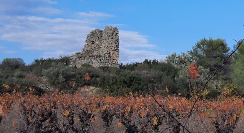 ペンション Gîte Et Chambres D Hôtes  Le Coq Du Nord   Mailhac