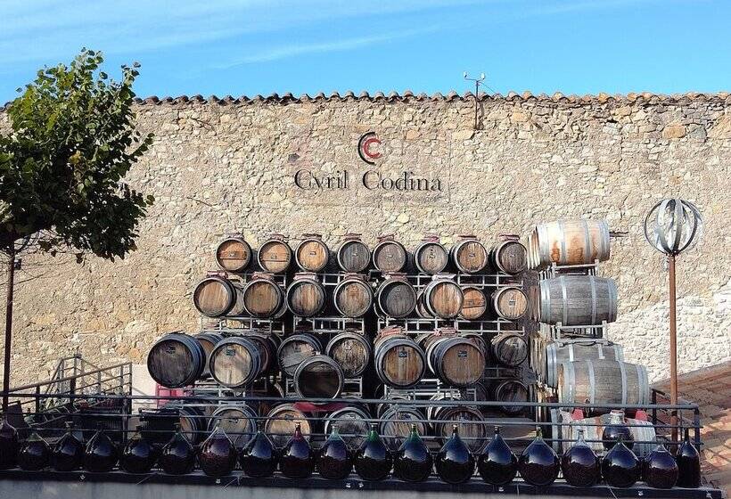 ペンション Gîte Et Chambres D Hôtes  Le Coq Du Nord   Mailhac